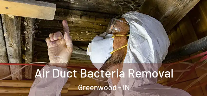 Air Duct Bacteria Removal Greenwood - IN
