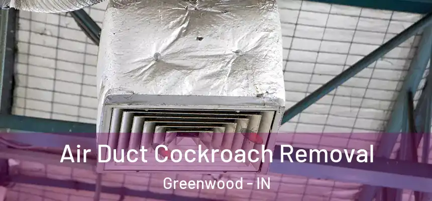 Air Duct Cockroach Removal Greenwood - IN