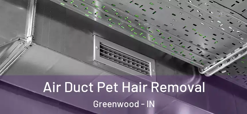 Air Duct Pet Hair Removal Greenwood - IN