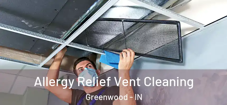 Allergy Relief Vent Cleaning Greenwood - IN