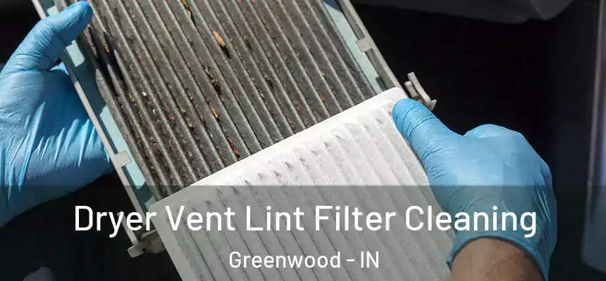  Dryer Vent Lint Filter Cleaning Greenwood - IN