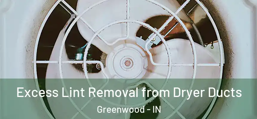 Excess Lint Removal from Dryer Ducts Greenwood - IN