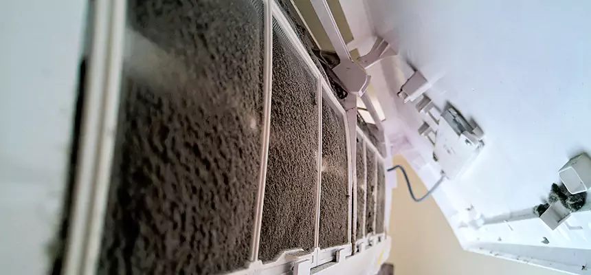 Preventive Air Duct Bacteria Removal in Greenwood