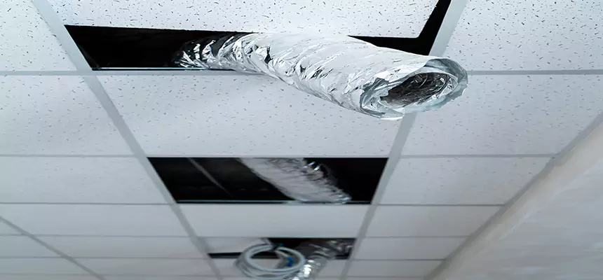 Affordable HVAC Sanitizing After Pest Removal in Greenwood