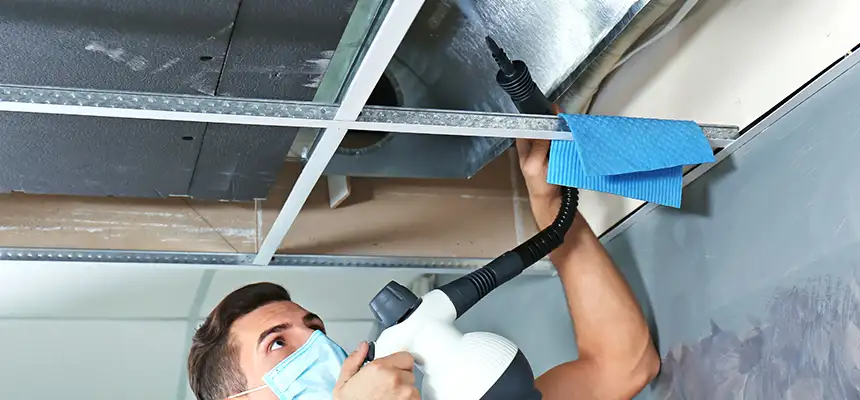 Our Air Duct Rodent Removal Services in Greenwood, IN