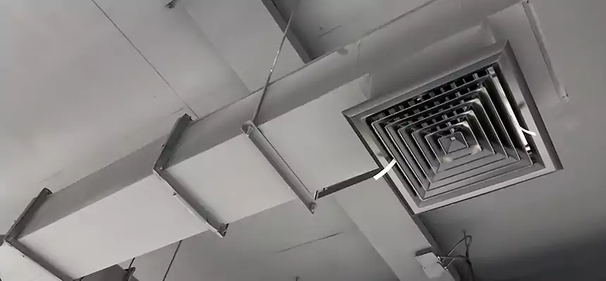 Our Rodent Droppings In Vents Services in Greenwood, IN