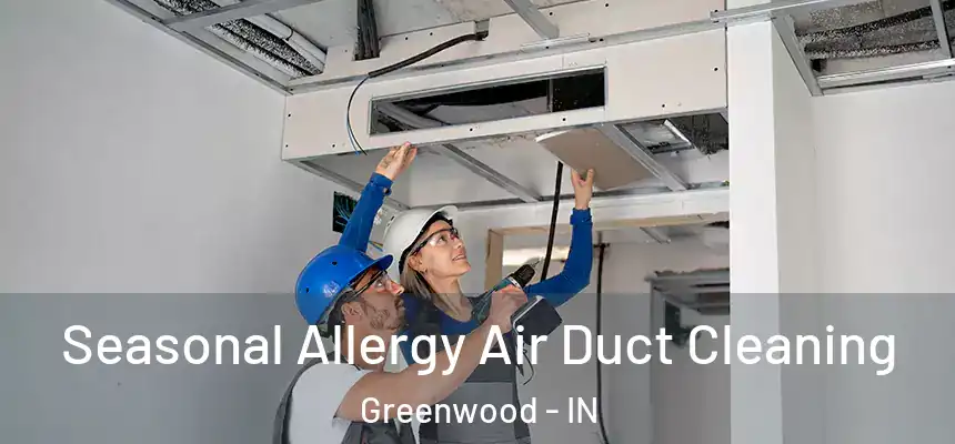  Seasonal Allergy Air Duct Cleaning Greenwood - IN
