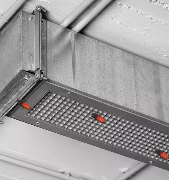 Affordable Insect Removal from Air Ducts in Greenwood, IN
