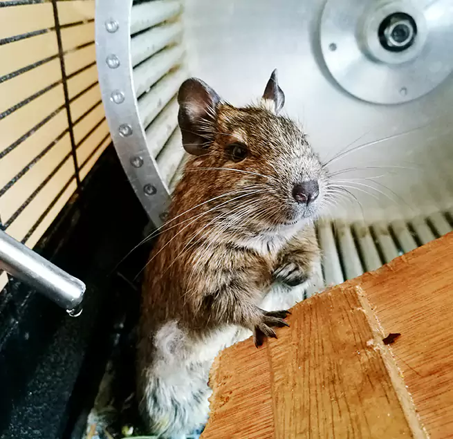 Why Homeowners & Businesses Trust Us Greenwood, IN